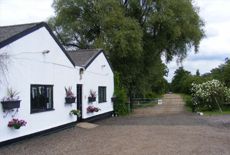 pages cattery buildings