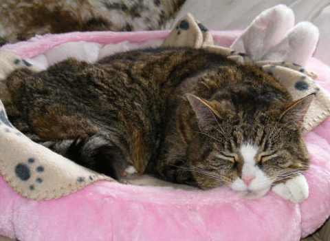 First Scroller Image