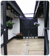 Pages Farm Cattery