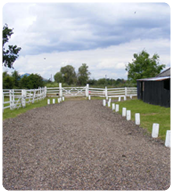 Pages Farm Cattery